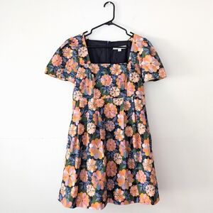 Birds of North America's Colorful Floral Pleated Designer Babydoll Dress - Small